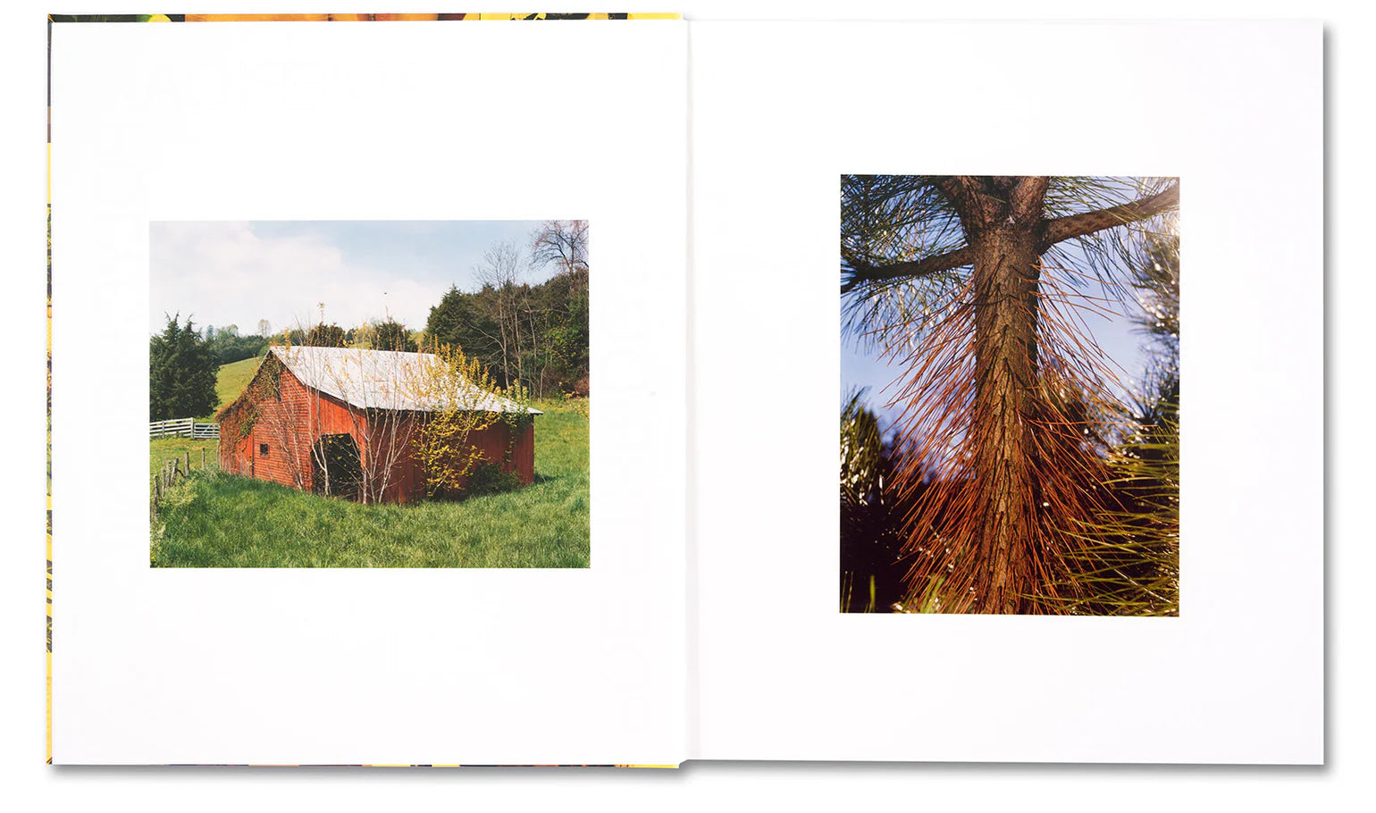dubblefilm-policr-nico-americano-roe-ethridge-fotobuch-480-seiten image 3