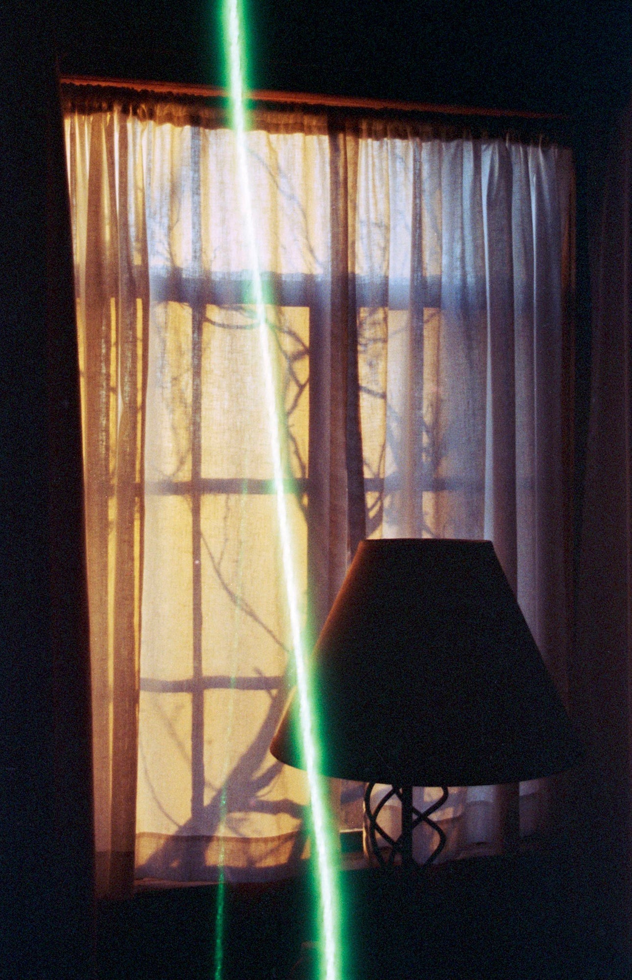 revolog-lazer-35mm-farbfilm-36er-mit-linien image 4