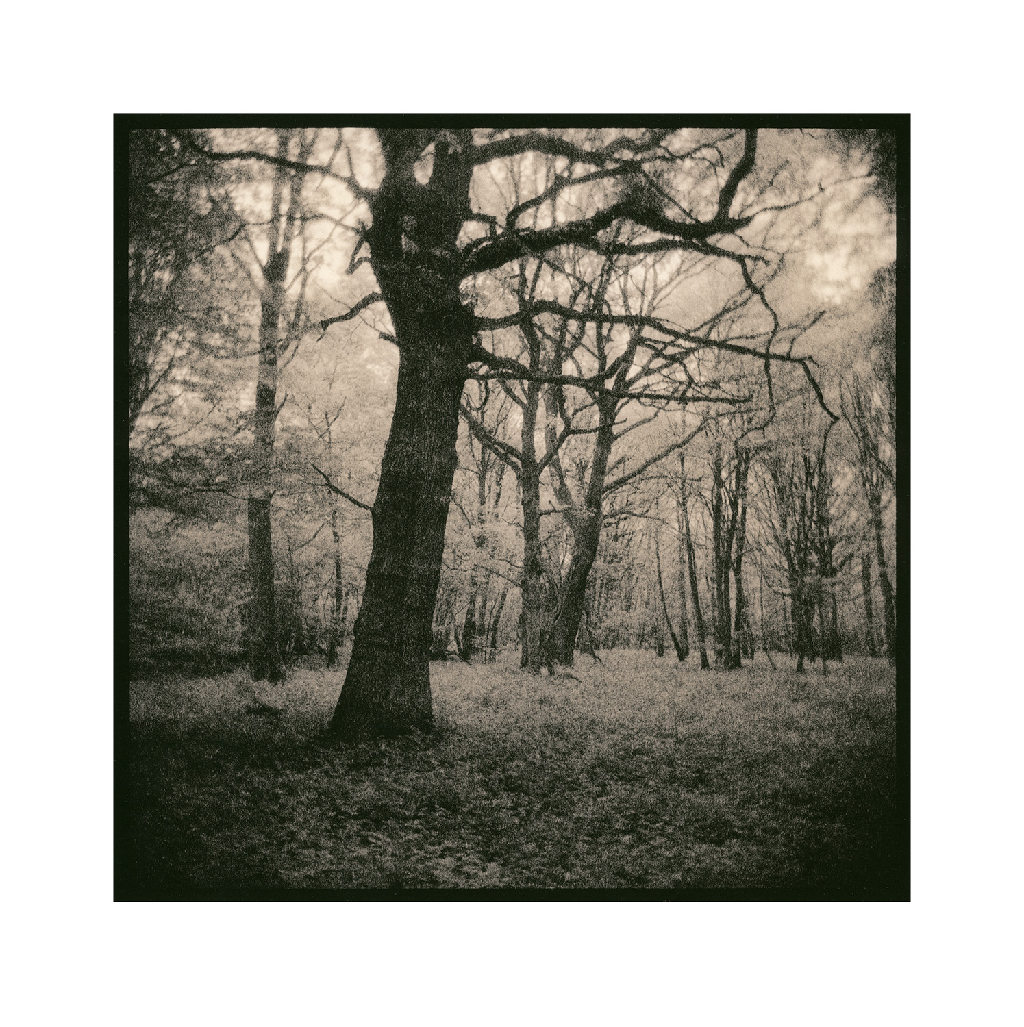 moersch-lith-new-catechol-lithentwickler-kit-brenzkatechin image 7