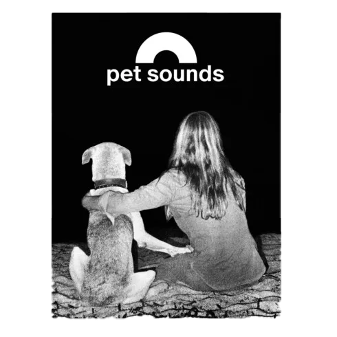 alberto-vieceli-pet-sounds-bildband-plattencover-320-seiten image 1