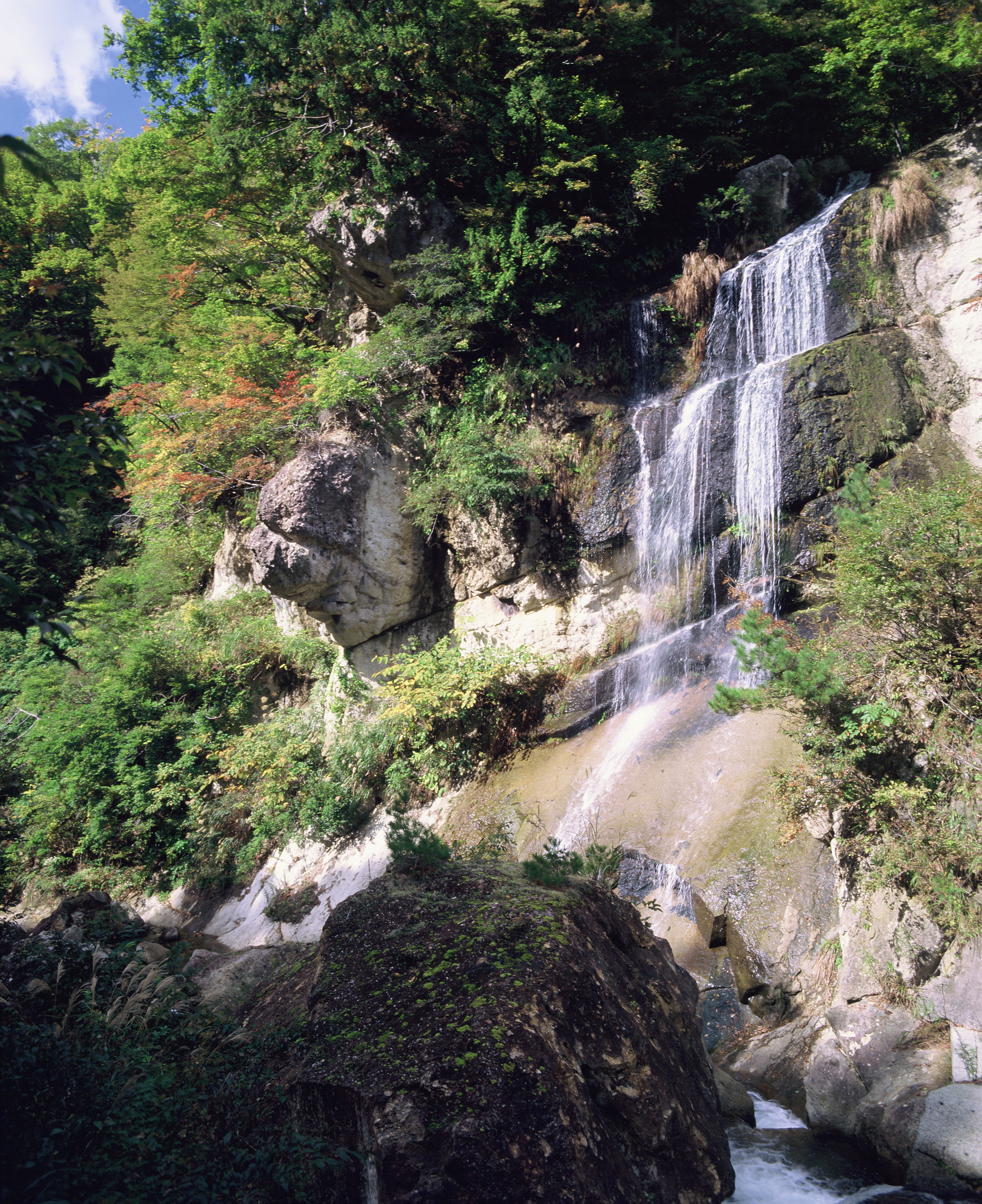 kodak-ektachrome-e100-diafilm-120-iso-100-farbumkehrfilm image 5