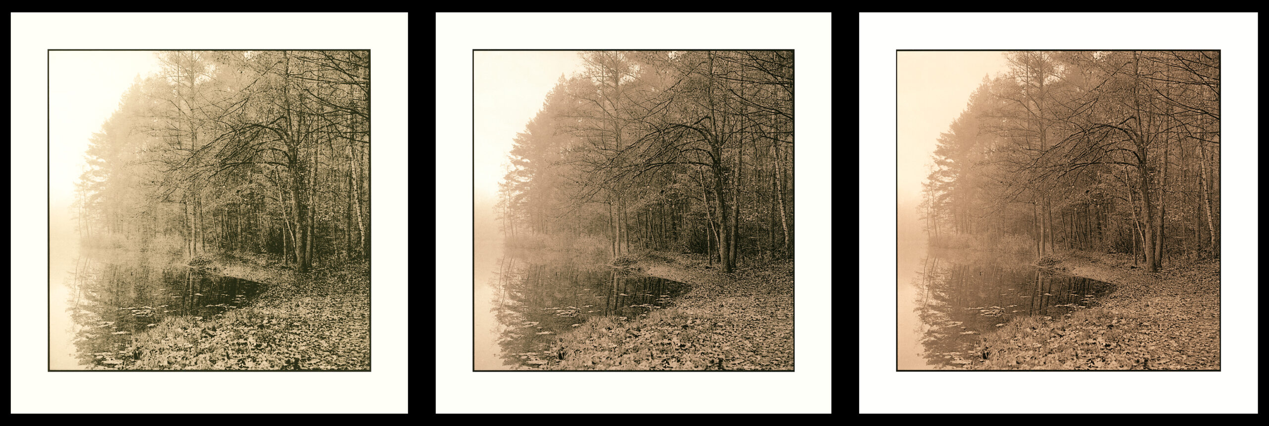moersch-lith-g-zweitentwickler-lithentwickler-glycin-farbig image 5