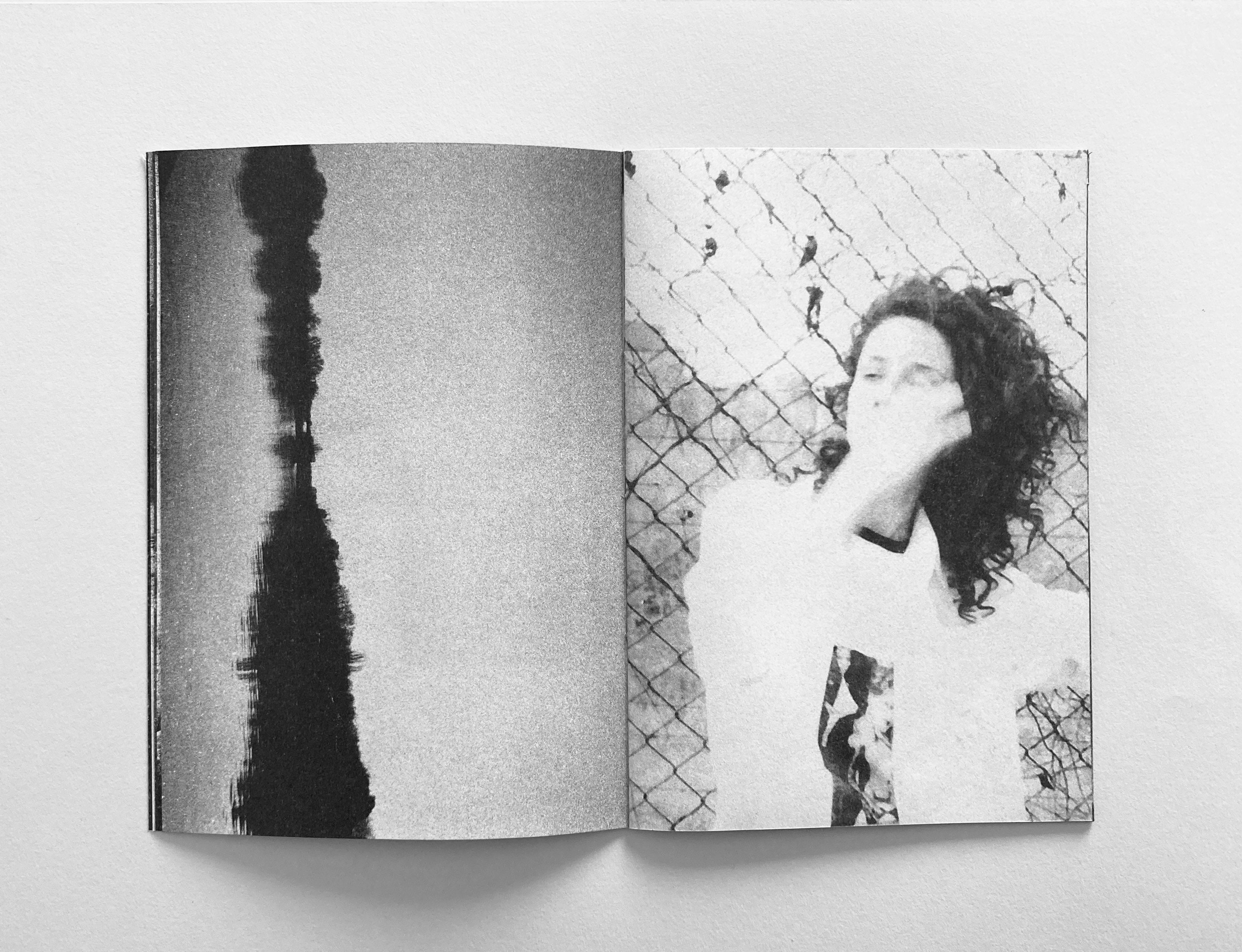 dubblefilm-books-toute-entiere-zine-riso-edition-50 image 5