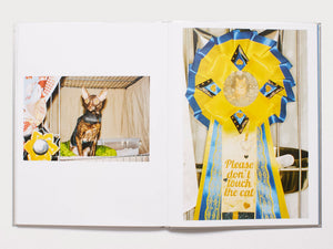 dubblefilm-the-best-cat-in-the-world-buch-hardcover-katzen image 3