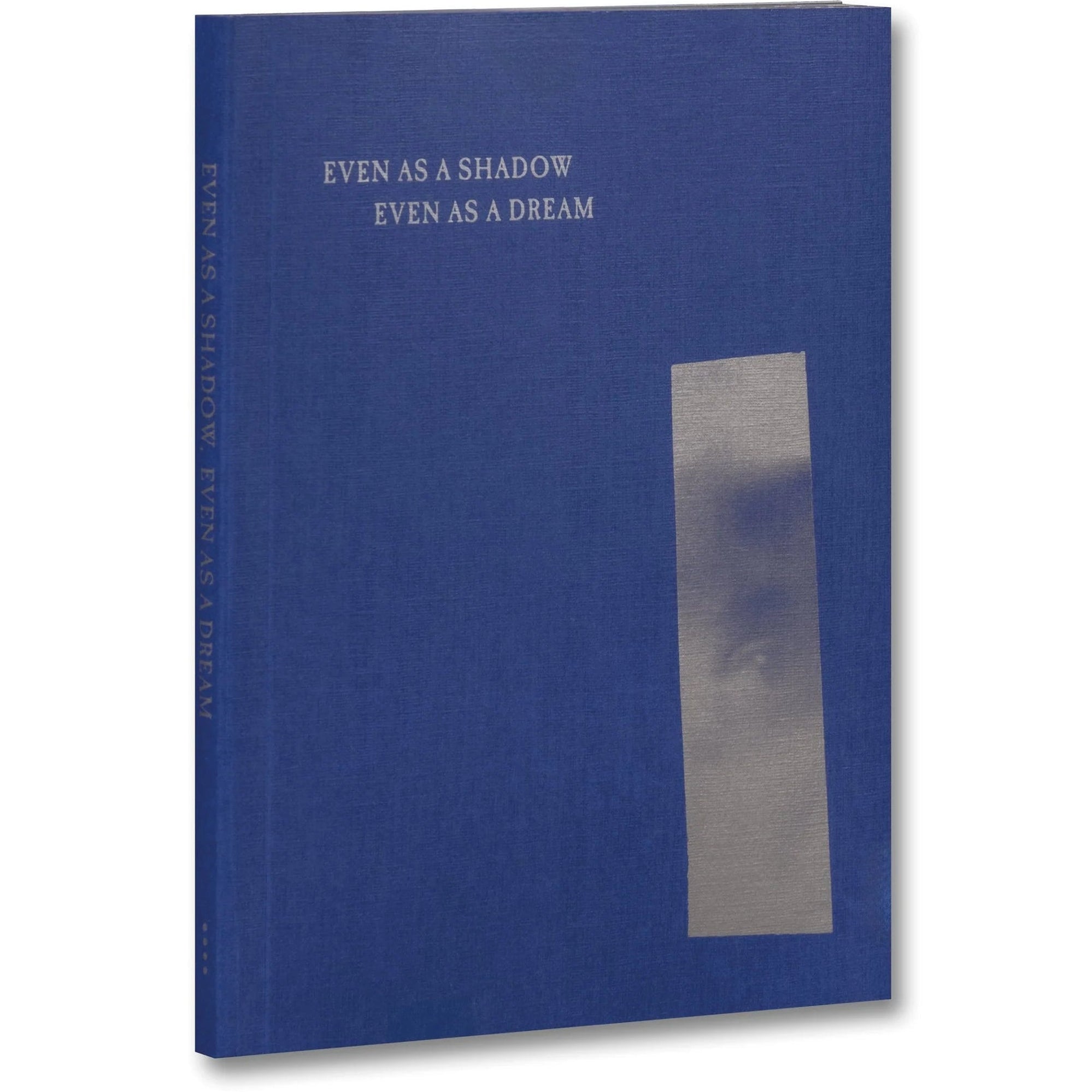 dubblefilm-even-as-a-shadow-even-as-a-dream-buch-hamnet image 1