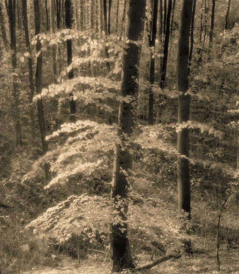 moersch-tanol-eco-film-developer-negativentwickler-feinkorn image 7