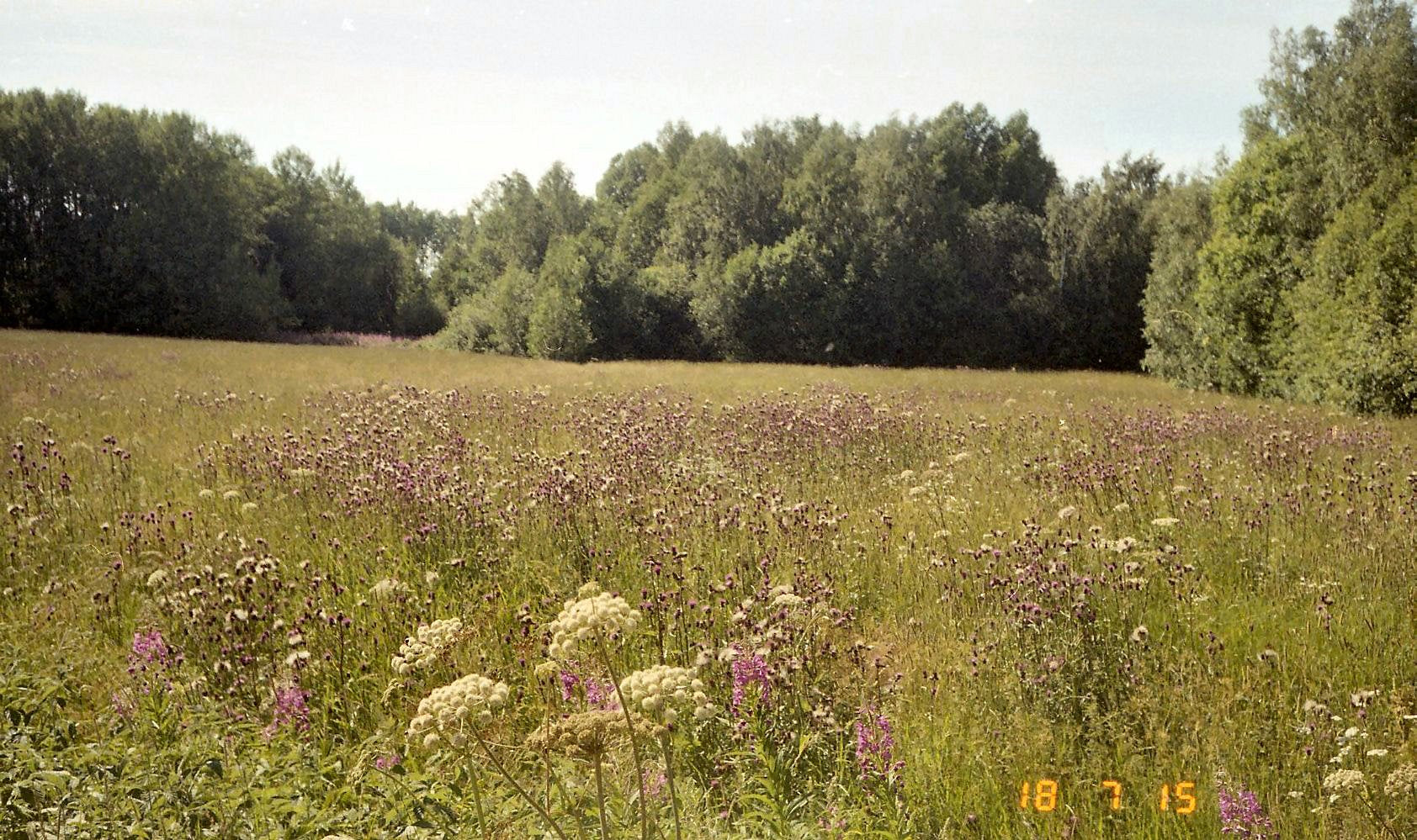 olympus-af-1-quartzdate-35mm-kompaktkamera-35mm-f2-8-gebraucht image 2